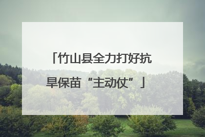 竹山县全力打好抗旱保苗“主动仗”