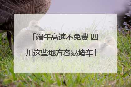 端午高速不免费 四川这些地方容易堵车
