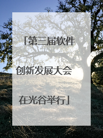 第三届软件创新发展大会在光谷举行