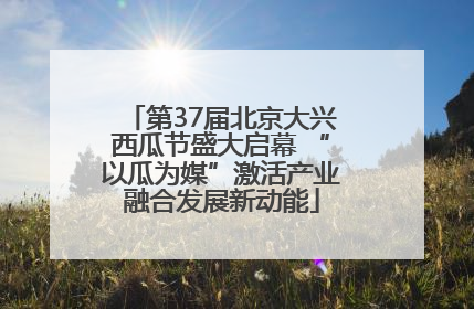 第37届北京大兴西瓜节盛大启幕 “以瓜为媒”激活产业融合发展新动能