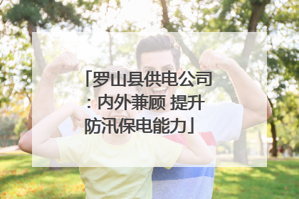 罗山县供电公司：内外兼顾 提升防汛保电能力