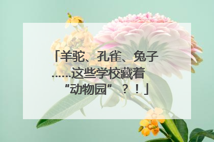 羊驼、孔雀、兔子……这些学校藏着 “动物园”？！