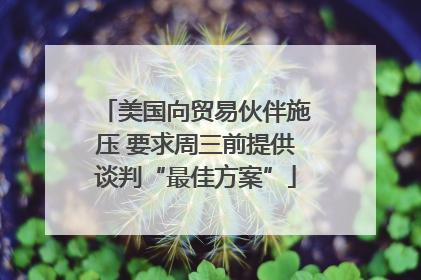 美国向贸易伙伴施压 要求周三前提供谈判“最佳方案”