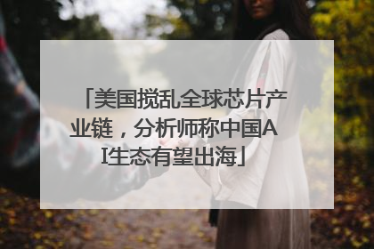 美国搅乱全球芯片产业链，分析师称中国AI生态有望出海