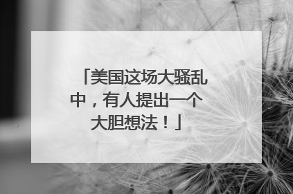 美国这场大骚乱中，有人提出一个大胆想法！