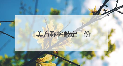 美方称将敲定一份新书面协议 作为加沙停火协议的基础