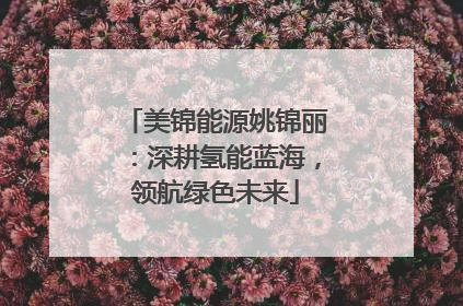 美锦能源姚锦丽：深耕氢能蓝海，领航绿色未来