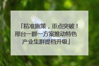 精准施策，重点突破！邢台一群一方案推动特色产业集群提档升级