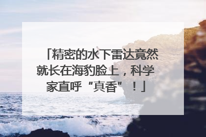 精密的水下雷达竟然就长在海豹脸上，科学家直呼“真香”！