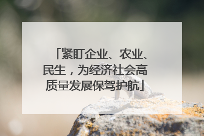 紧盯企业、农业、民生，为经济社会高质量发展保驾护航
