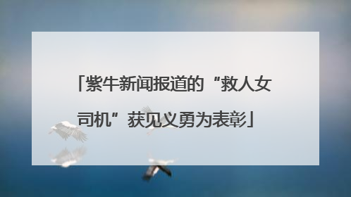 紫牛新闻报道的“救人女司机”获见义勇为表彰
