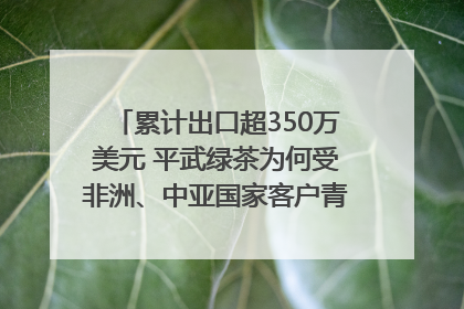 累计出口超350万美元 平武绿茶为何受非洲、中亚国家客户青睐？｜发布会观察
