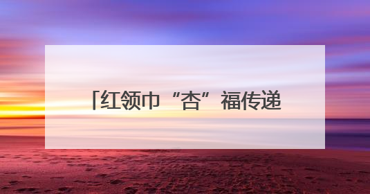 红领巾“杏”福传递 粽香情暖夕阳红