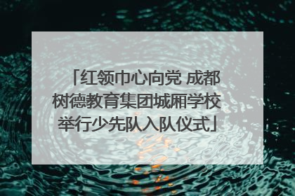 红领巾心向党 成都树德教育集团城厢学校举行少先队入队仪式