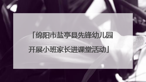 绵阳市盐亭县先锋幼儿园开展小班家长进课堂活动