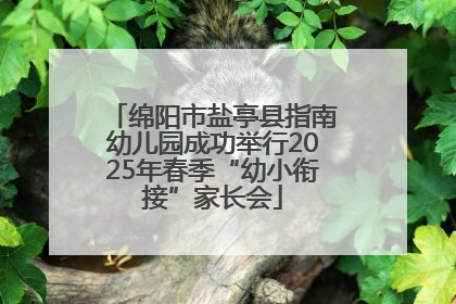 绵阳市盐亭县指南幼儿园成功举行2025年春季“幼小衔接”家长会