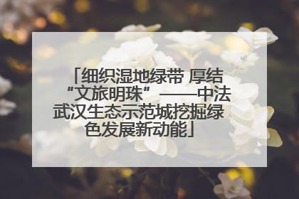 细织湿地绿带 厚结“文旅明珠”——中法武汉生态示范城挖掘绿色发展新动能