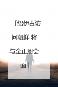 绍伊古访问朝鲜 将与金正恩会面