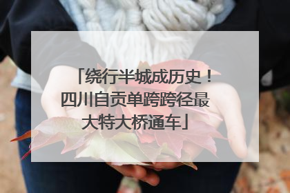 绕行半城成历史！四川自贡单跨跨径最大特大桥通车