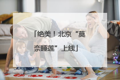 绝美！北京“莫奈睡莲”上线