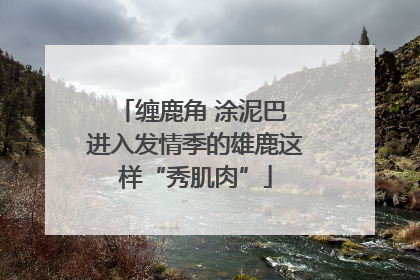 缠鹿角 涂泥巴 进入发情季的雄鹿这样“秀肌肉”