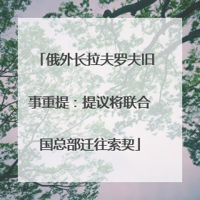 俄外长拉夫罗夫旧事重提：提议将联合国总部迁往索契