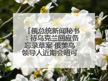 俄总统新闻秘书：待乌克兰回应备忘录草案 俄美乌领导人近期会晤可能性小