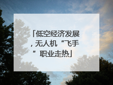 低空经济发展，无人机“飞手”职业走热