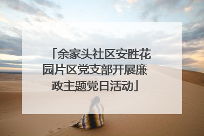余家头社区安胜花园片区党支部开展廉政主题党日活动