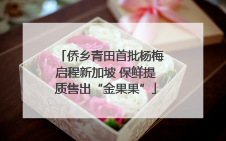 侨乡青田首批杨梅启程新加坡 保鲜提质售出“金果果”