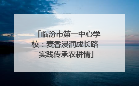 临汾市第一中心学校：麦香浸润成长路 实践传承农耕情