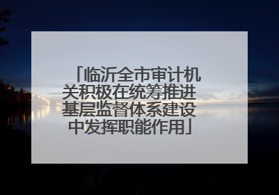 临沂全市审计机关积极在统筹推进基层监督体系建设中发挥职能作用