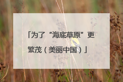 为了“海底草原”更繁茂（美丽中国）