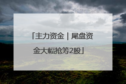 主力资金｜尾盘资金大幅抢筹2股