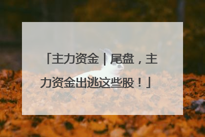 主力资金｜尾盘，主力资金出逃这些股！