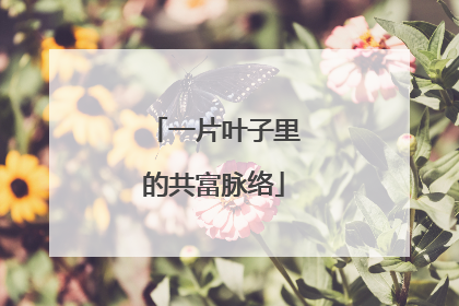 一片叶子里的共富脉络