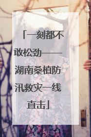一刻都不敢松劲——湖南桑植防汛救灾一线直击