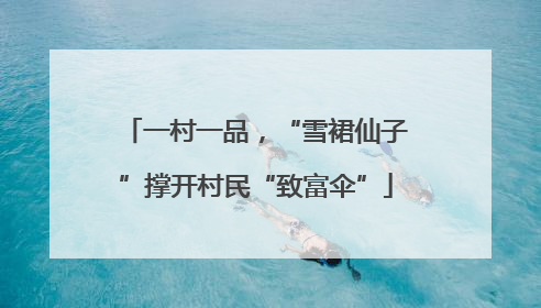 一村一品，“雪裙仙子”撑开村民“致富伞”