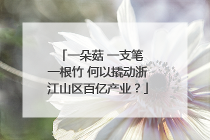 一朵菇 一支笔 一根竹 何以撬动浙江山区百亿产业？