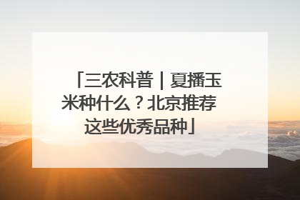 三农科普｜夏播玉米种什么？北京推荐这些优秀品种