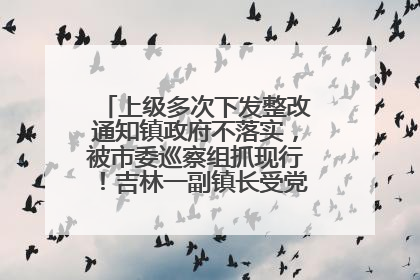上级多次下发整改通知镇政府不落实，被市委巡察组抓现行！吉林一副镇长受党内警告处分