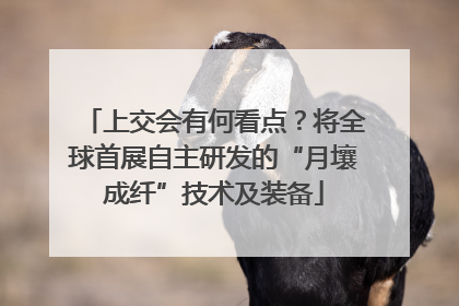 上交会有何看点？将全球首展自主研发的“月壤成纤”技术及装备