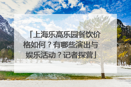 上海乐高乐园餐饮价格如何？有哪些演出与娱乐活动？记者探营