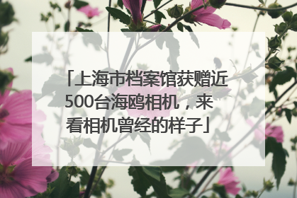 上海市档案馆获赠近500台海鸥相机，来看相机曾经的样子
