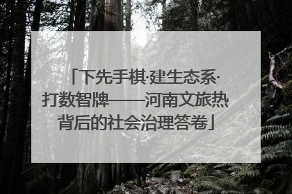下先手棋·建生态系·打数智牌——河南文旅热背后的社会治理答卷