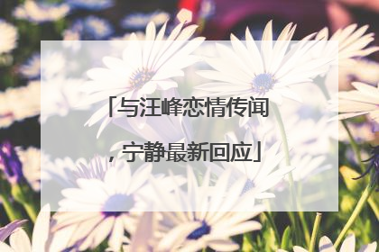 与汪峰恋情传闻，宁静最新回应