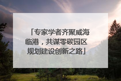 专家学者齐聚威海临港，共谋零碳园区规划建设创新之路