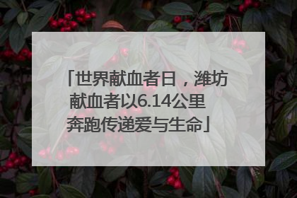 世界献血者日，潍坊献血者以6.14公里奔跑传递爱与生命