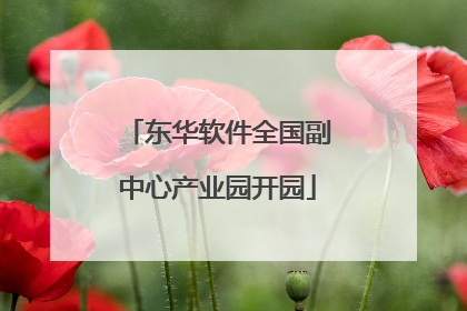 东华软件全国副中心产业园开园