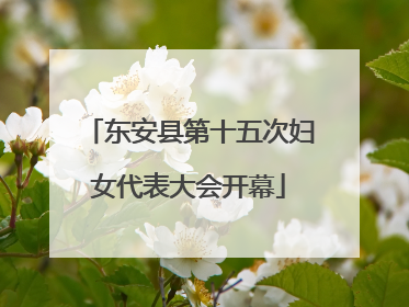 东安县第十五次妇女代表大会开幕